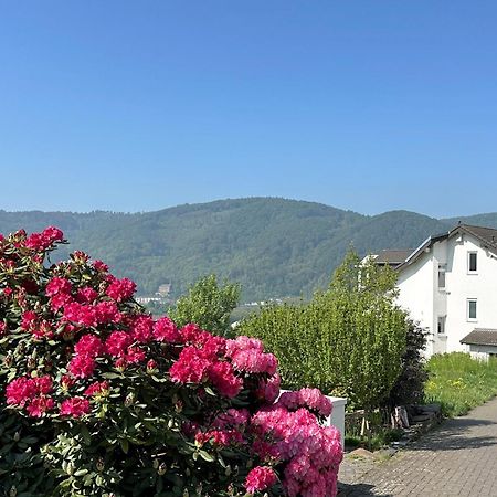 Ferienwohnung Rhein-Panorama Lahnstein Luaran gambar