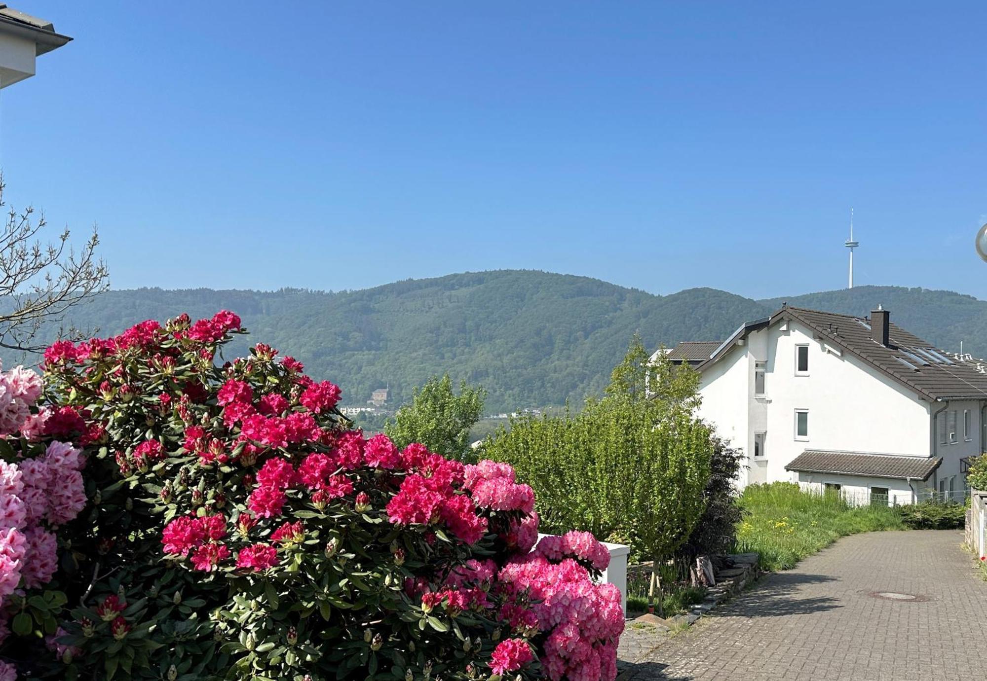 Ferienwohnung Rhein-Panorama Lahnstein Luaran gambar